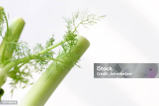 Primo Piano Di Finocchio - Fotografie stock e altre immagini di Alimentazione sana - Alimentazione sana, Cibo, Close-up