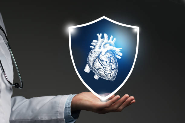 istock Unrecognizable female doctor holding shield and graphic virtual visualization of  Heart organ in hands. 1397381797