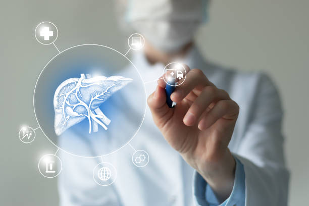Unrecognizable female doctor holding graphic virtual visualization model of Liver organ in hands. Multiple virtual medical icons. stock photo