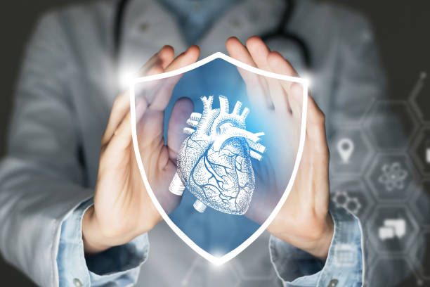 istock Unrecognizable female doctor holding shield and graphic virtual visualization of  Heart organ in hands. 1397383230