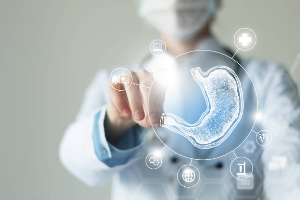 Unrecognizable female doctor holding graphic virtual visualization model of Stomach organ in hands. Multiple virtual medical icons. stock photo