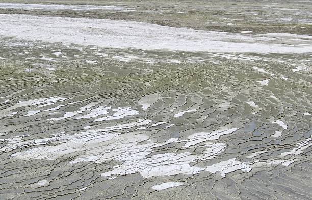 Mud Flats stock photo