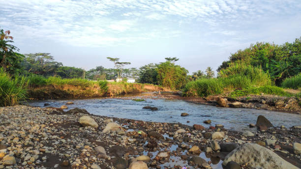 istock Spring background Stream of water in the forest 1397384437