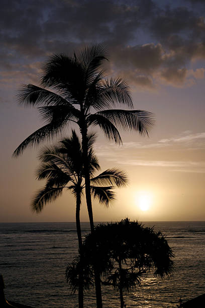 Pôr do sol do havaiano - foto de acervo