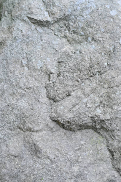 istock closeup the big grey brown stone soft focus natural grey brown background. 1397384678