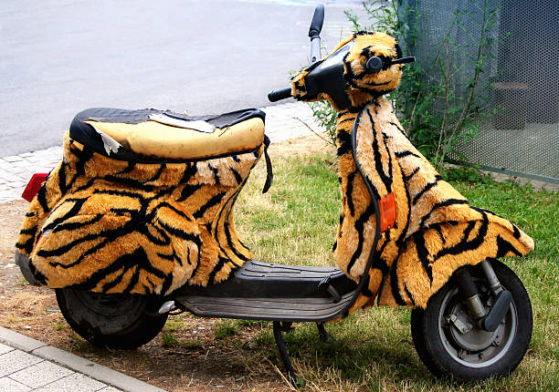 3,701 Funny Motorcycle Stock Photos, Pictures & Royalty-Free Images - iStock | Funny bicycle, Funny old people 3,701 Funny Motorcycle Stock Photos, Pictures & Royalty-Free Images - iStock | Funny bicycle, Funny old people