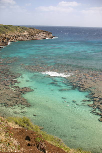 istock Hanauma Bay waters of Hawaii 139738560