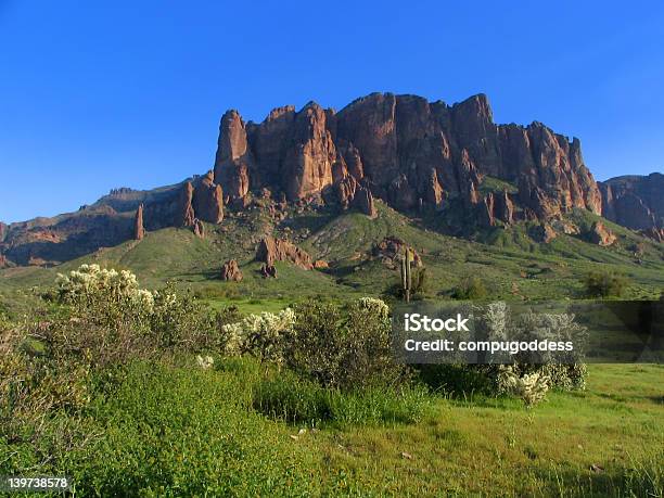 Foto de Montanhas Superstition e mais fotos de stock de Arizona - Arizona, Cacto, Cacto Gigante