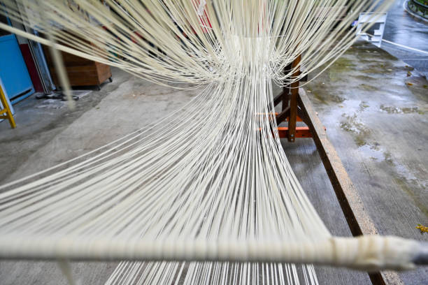 istock Closeup of making traditional handmade noodles 1397385828