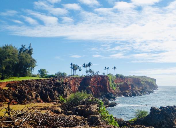 poipu golf - mahaulepu beach fotografías e imágenes de stock