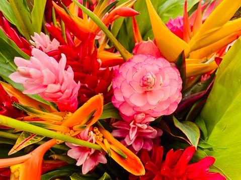 Bouquet of tropical blooms, Red Ginger, Bird of Paradise.  OLYMPUS DIGITAL CAMERA.