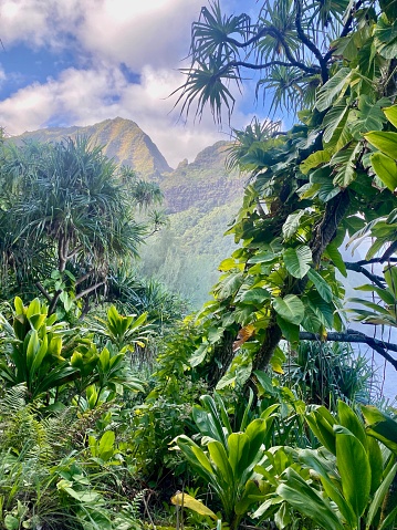 View inside the Na Pali Coast State Park, Kauai, Hawaii, OLYMPUS DIGITAL CAMERA.