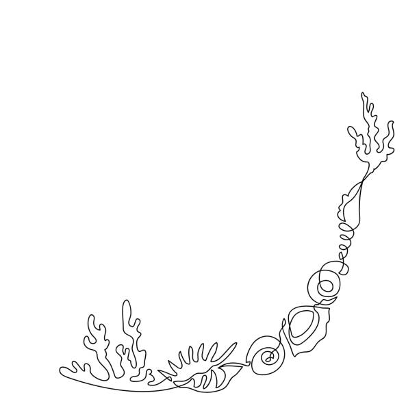 ilustrações de stock, clip art, desenhos animados e ícones de corner pattern of corals and seashells drawn in one line - corner arc frame swirl