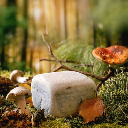 Fairy tale ambiance magical autumn forest background. Cube stone as display podium for natural eco products. Autumn leaves, moss, wild mushrooms. Creative layout. Eco advertising concept. Square image
