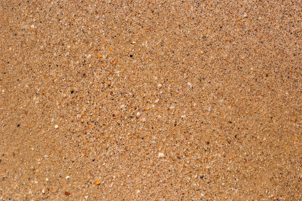 istock Beach sand texture on a summer day. Top view, flat lay 1397390443