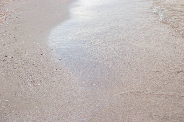 istock Soft wave of the sea on a sandy beach 1397390594
