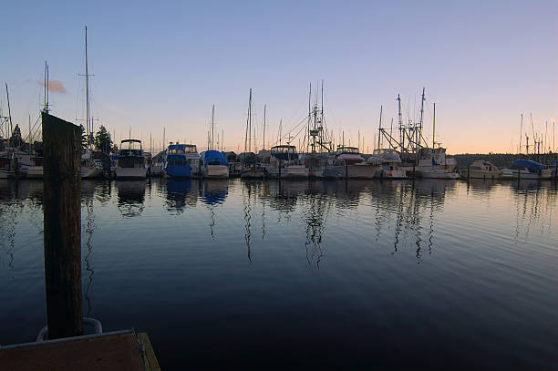 istock boats in the marina 139739294