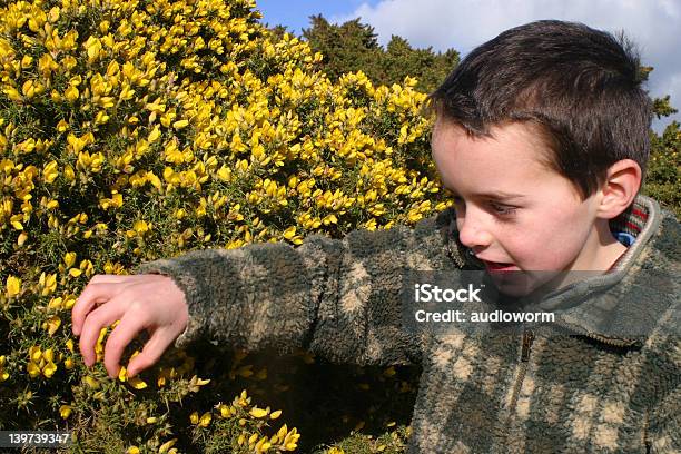 Curiousity - Fotografias de stock e mais imagens de Criança - Criança, Aluno da Escola Primária, Amarelo