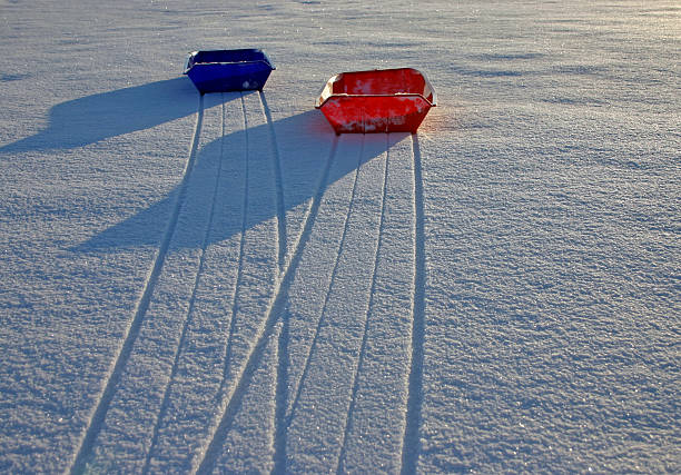 슬레드 on 인공눈 (2 - animal sledding tobogganing snow finland 뉴스 사진 이미지