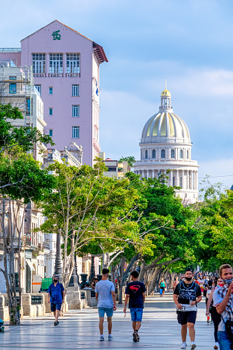Havana, Cuba - May 15, 2022: Cuban people in their daily routines in the Paseo del Prado. El Capitolio with its golden dome is seen in the background.