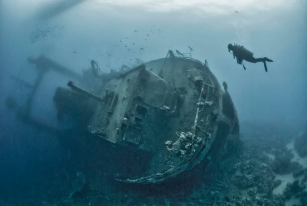 istock Underwater exploration of a shipwreck 1397397916