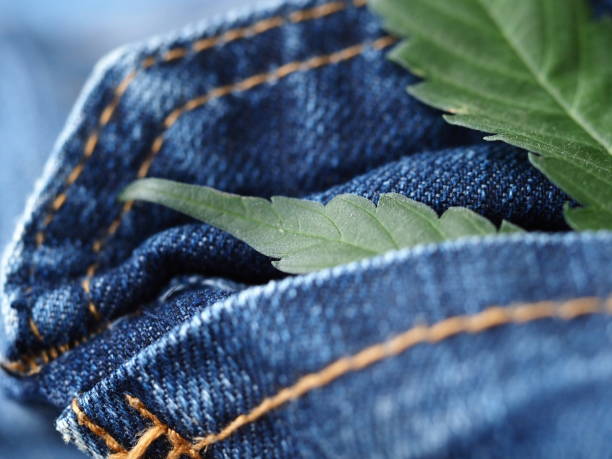 istock Industrial hemp leaf on jeans fabric 1397399152