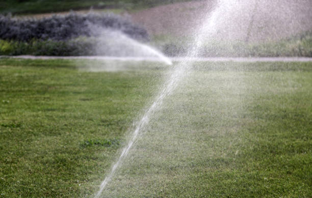 istock Sprinklers watering the field 1397399400