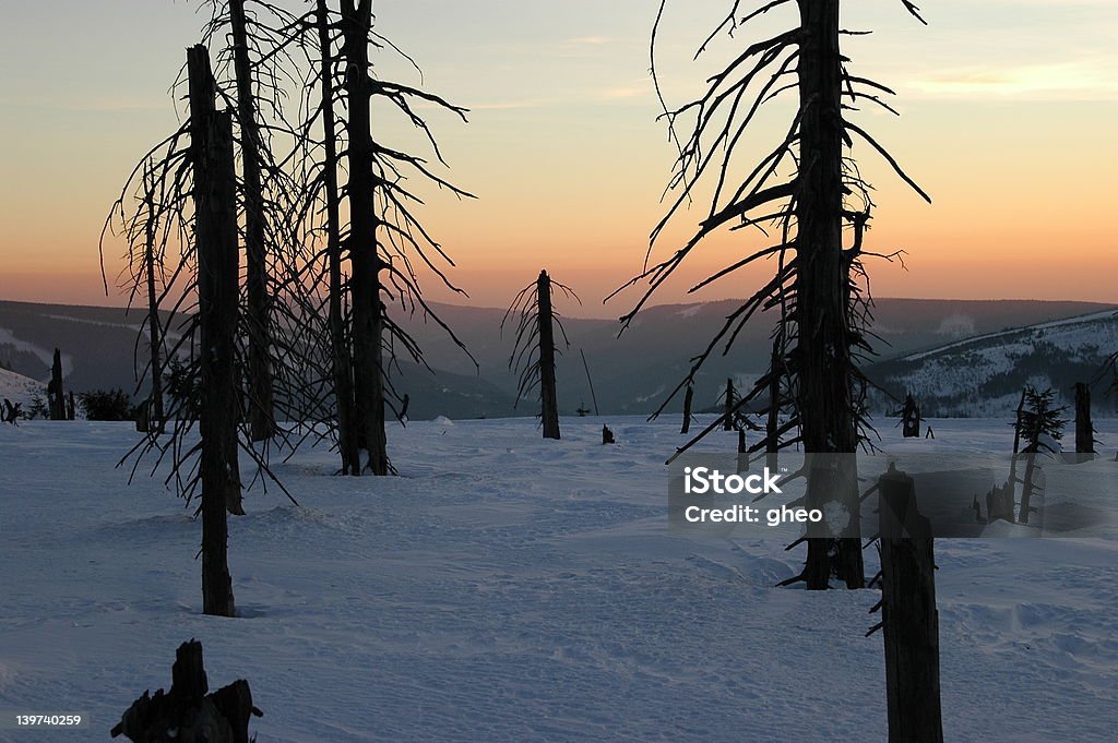 Stump gate Stumps of trees against the sunset in the low mountains. Sad effects of air pollution in the past... Air Pump Stock Photo