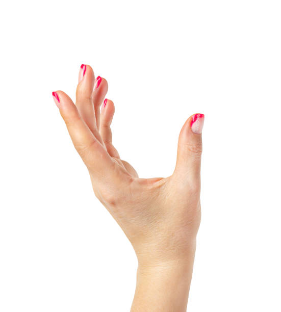 istock Female hand with manicure isolated on white shows. 1397403500