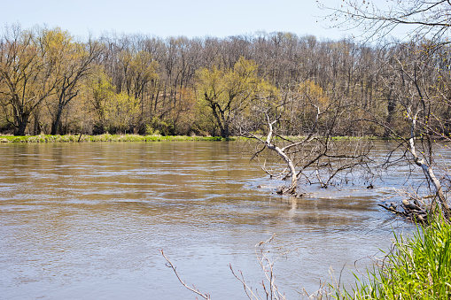 Landscape photography of the Wapsipinicon River in Iowa in spring.