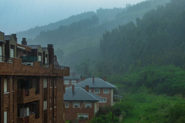 vista della pioggia dalla finestra - meteorology rain fog forest foto e immagini stock