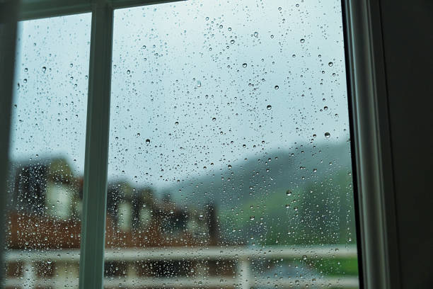 istock View of the rain from the window 1397404642