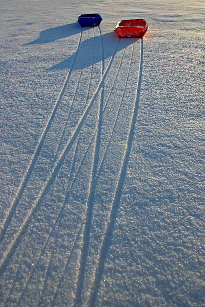 슬레드 on 인공눈 (1 - animal sledding tobogganing snow finland 뉴스 사진 이미지