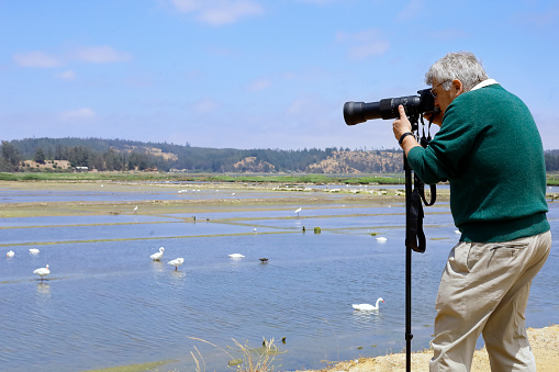 older man with his camera and zoom lens shooting a photo, enjoying his hobby of birdwatching and bird photography in a wetland.