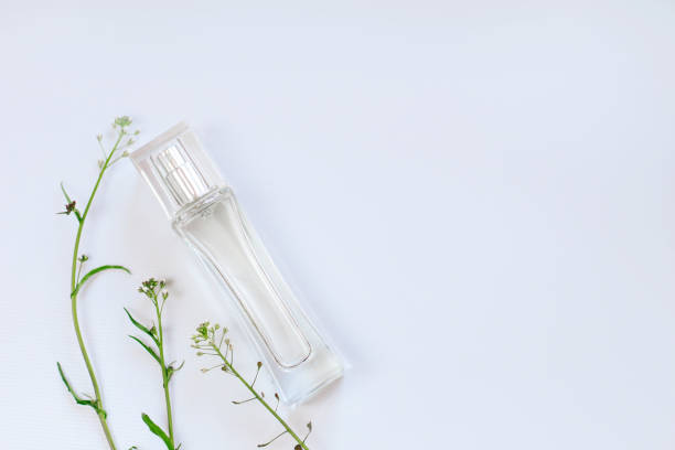 istock Glass transparent perfume bottle with green plants 1397405710