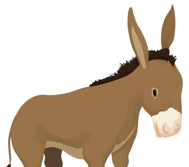 ilustraciones, imágenes clip art, dibujos animados e iconos de stock de vista de cerca del lindo burro con pelaje marrón - orejas de burro