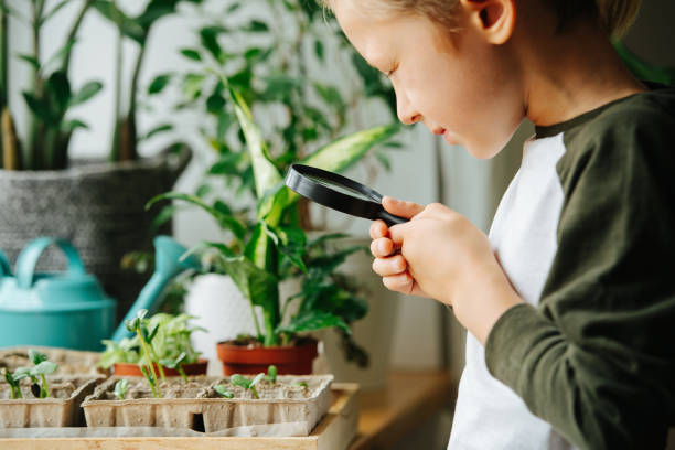 istock Curious boy next to a window sill, looking at plant through a magnifying glass 1397406697