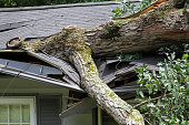 istock Storm Damage, Tree Splits a Roof 1397407913