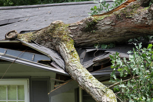 Storm Damage, Tree Splits a Roof Storm felled oak tree falls on house ripping through its roof damaged stock pictures, royalty-free photos & images