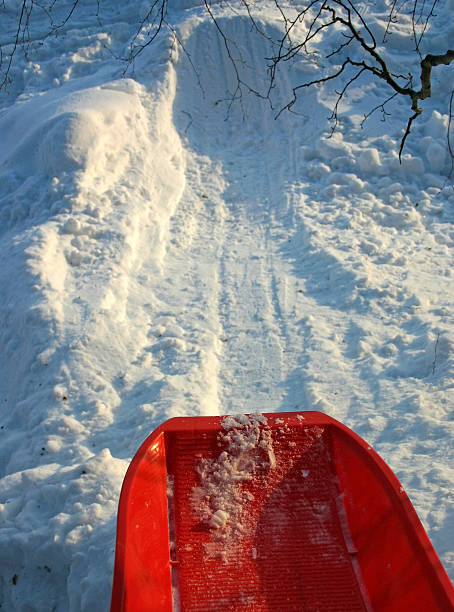 활강 슬레드 - animal sledding tobogganing snow finland 뉴스 사진 이미지