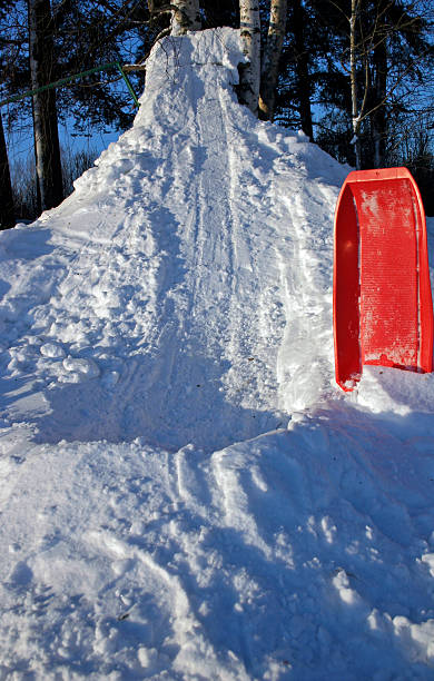 슬레드 및! - animal sledding tobogganing snow finland 뉴스 사진 이미지