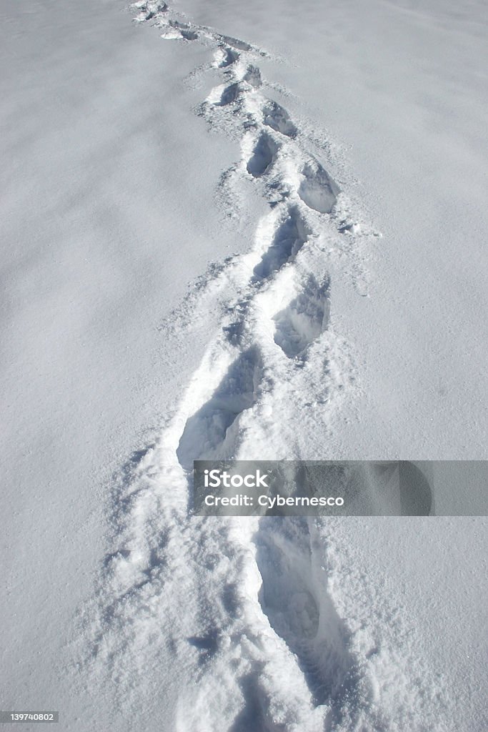 Spacery w śniegu - Zbiór zdjęć royalty-free (Badanie pulsu)