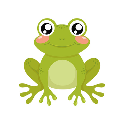 cute green frog on a white background