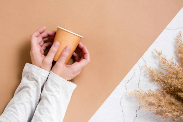 Female hands hold a disposable cardboard cup for drinks on a two-tone background.
