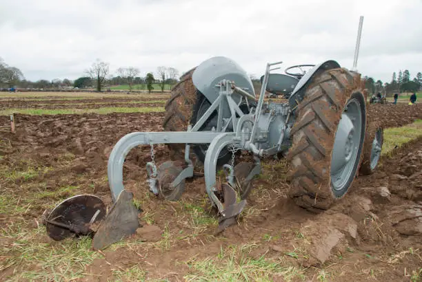 Photo of Grey vintage Massey Ferguson tractor in a ploughed field.