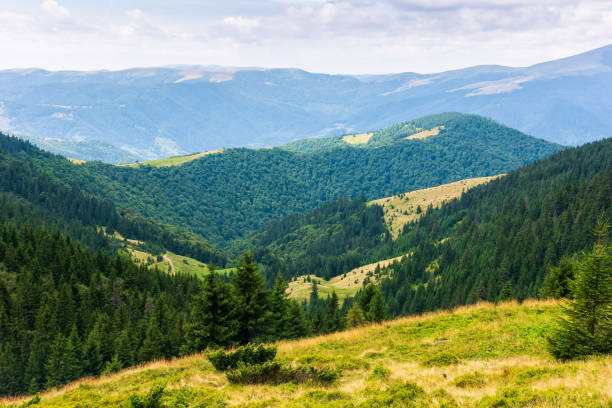 istock forested hills of carpathian mountain landscape 1397411507