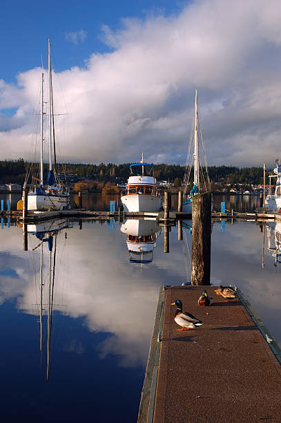 istock boats in the harbor 139741202