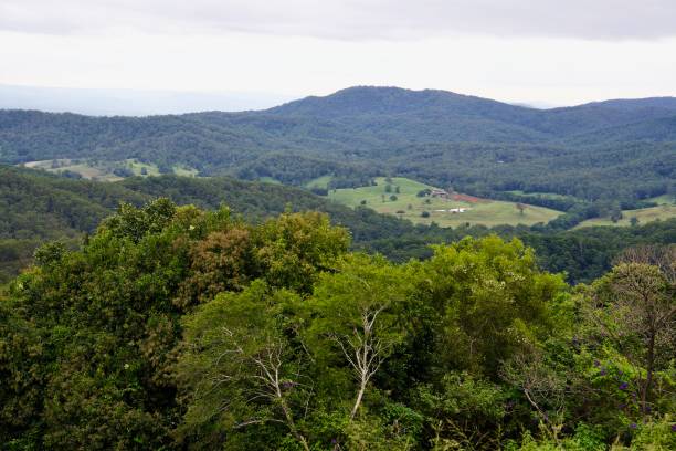istock Rolling green hills, View, Maleny, Sunshine Coast Hinterland, Queensland 1397412542