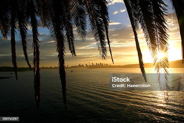 Relajante En Sydney Foto de stock y más banco de imágenes de Agua - Agua, Aire libre, Australia