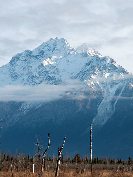 istock Mountains south of Anchorage 139741427